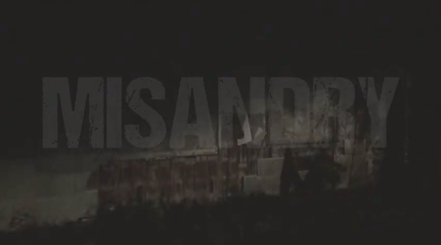 Misandry